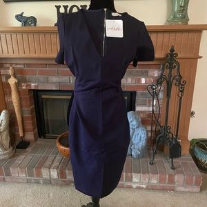 Fitted Dress - Size Large